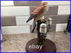 Border Fine Arts Kestral style Four B0869