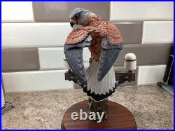 Border Fine Arts Kestral style Four B0869
