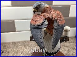 Border Fine Arts Kestral style Four B0869