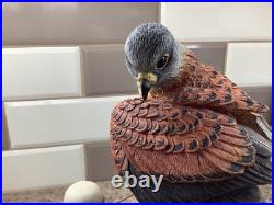 Border Fine Arts Kestral style Four B0869