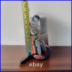 Border Fine Arts' Kestrel''It is an attractive piece