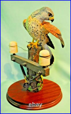 Border Fine Arts'Kestrel', No. B0869 by Richard Roberts, 21/350 in Very Good C