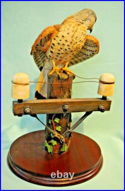 Border Fine Arts'Kestrel', No. B0869 by Richard Roberts, 21/350 in Very Good C