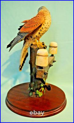 Border Fine Arts'Kestrel', No. B0869 by Richard Roberts, 21/350 in Very Good C
