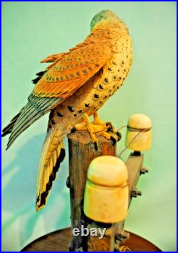 Border Fine Arts'Kestrel', No. B0869 by Richard Roberts, 21/350 in Very Good C