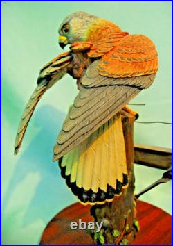 Border Fine Arts'Kestrel', No. B0869 by Richard Roberts, 21/350 in Very Good C