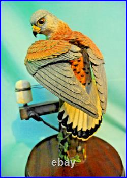Border Fine Arts'Kestrel', No. B0869 by Richard Roberts, 21/350 in Very Good C