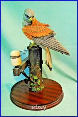 Border Fine Arts'Kestrel', No. B0869 by Richard Roberts, 21/350 in Very Good C