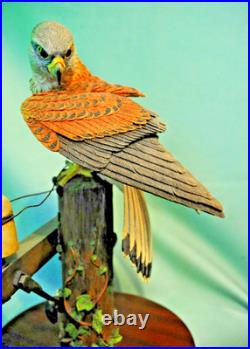 Border Fine Arts'Kestrel', No. B0869 by Richard Roberts, 21/350 in Very Good C