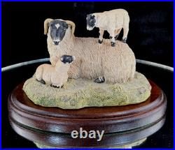 Border Fine Arts King of the Castle JH37 1989 Sheep Figurine D. Walton J Herriot