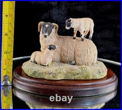Border Fine Arts King of the Castle JH37 1989 Sheep Figurine D. Walton J Herriot