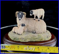 Border Fine Arts King of the Castle JH37 1989 Sheep Figurine D. Walton J Herriot