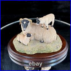 Border Fine Arts King of the Castle JH37 1989 Sheep Figurine D. Walton J Herriot