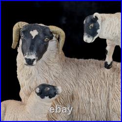 Border Fine Arts King of the Castle JH37 1989 Sheep Figurine D. Walton J Herriot