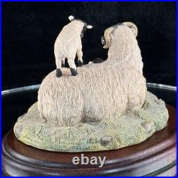 Border Fine Arts King of the Castle JH37 1989 Sheep Figurine D. Walton J Herriot