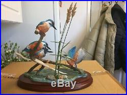 Border Fine Arts Kingfisher Whos First B1266 Number 181/350