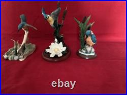 Border Fine Arts Kingfishers (3) Beautiful In All Three
