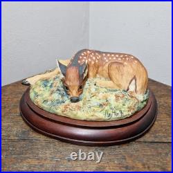 Border Fine Arts L09 Lying Down Roe Dear Fawn Limited Edition 416/500 V. Hayton