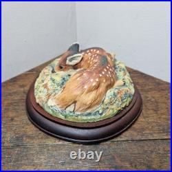 Border Fine Arts L09 Lying Down Roe Dear Fawn Limited Edition 416/500 V. Hayton