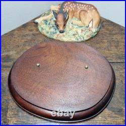 Border Fine Arts L09 Lying Down Roe Dear Fawn Limited Edition 416/500 V. Hayton