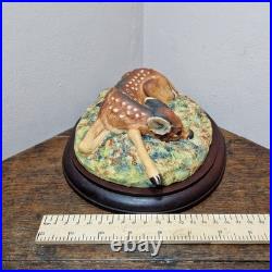Border Fine Arts L09 Lying Down Roe Dear Fawn Limited Edition 416/500 V. Hayton