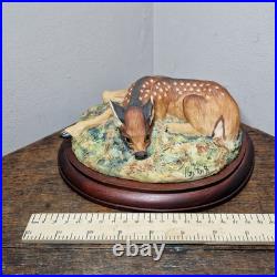 Border Fine Arts L09 Lying Down Roe Dear Fawn Limited Edition 416/500 V. Hayton