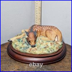 Border Fine Arts L09 Lying Down Roe Dear Fawn Limited Edition 416/500 V. Hayton