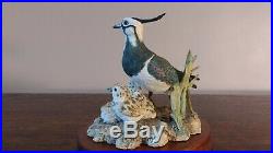 Border Fine Arts'Lapwing' Model No RB38 Birds Of The Countryside Series