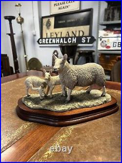 Border Fine Arts Leicester Ewe & Lambs In Original Box Made In Scotland