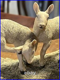 Border Fine Arts Leicester Ewe & Lambs In Original Box Made In Scotland