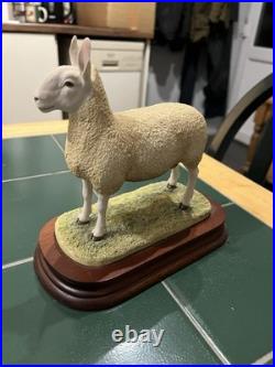 Border Fine Arts Leicester Tup Livestock Sheep With Certificate Limited Ed 950