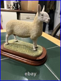 Border Fine Arts Leicester Tup Livestock Sheep With Certificate Limited Ed 950
