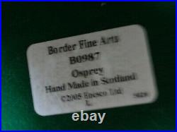 Border Fine Arts Limited Edition Osprey