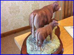 Border Fine Arts Limousin Cow & Calf Style one L157 limited edition