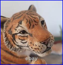 Border Fine Arts Ltd Ed 259 /750 Bengal Tiger Tigress & Cubs Wwf With Coa