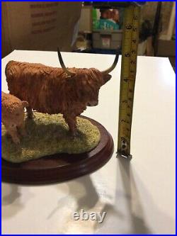 Border Fine Arts Highland Calf Figurine NEW 