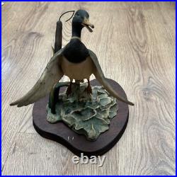 Border Fine Arts Mallard Rising In Box Ltd 950