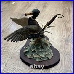 Border Fine Arts Mallard Rising In Box Ltd 950
