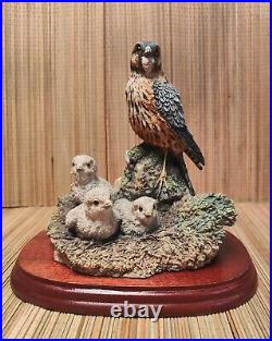 Border Fine Arts Merlin Falcon and Chicks Boxed