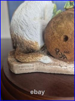 Border Fine Arts Misbehaving B0950 Dog Figure Ray Ayres Boxed Scotland