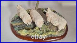 Border Fine Arts Model Sheep collection Blackfaced Ewes A27074 2016
