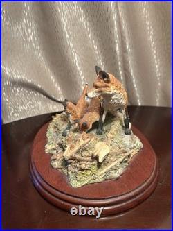 Border Fine Arts Mousing FT06 David Walton Fox & Cubs 873/2950 Ltd Ed COA