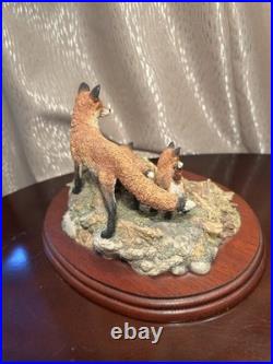 Border Fine Arts Mousing FT06 David Walton Fox & Cubs 873/2950 Ltd Ed COA