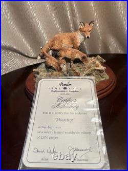 Border Fine Arts Mousing FT06 David Walton Fox & Cubs 873/2950 Ltd Ed COA