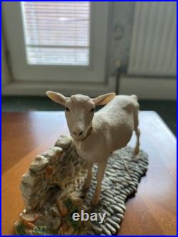 Border Fine Arts, Mr Kirby's Dorothy (goat) JH2 by Ray Ayers