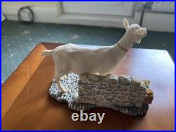 Border Fine Arts, Mr Kirby's Dorothy (goat) JH2 by Ray Ayers