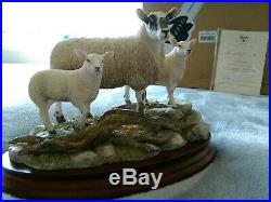 Border Fine Arts Mule Ewe & Texel Lambs B1251 311 of 500