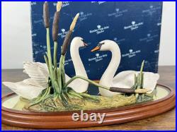 Border Fine Arts Mute Swans Reflections Very Rare A0006 Boxed 1999 VGC