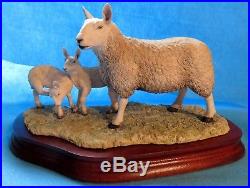 Border Fine Arts NORTH COUNTRY CHEVIOT EWE with SCOTCH HALF BREED LIMITED ED
