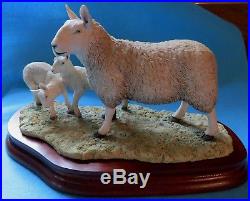Border Fine Arts NORTH COUNTRY CHEVIOT EWE with SCOTCH HALF BREED LIMITED ED